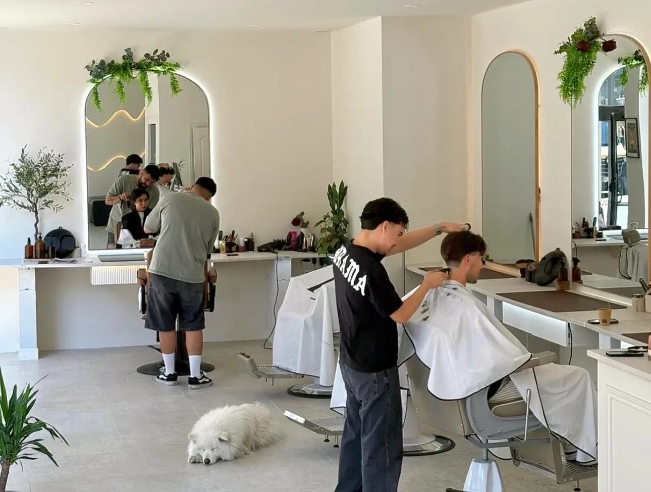 L’OLYMPE - Barbier Vichy - OneBooking