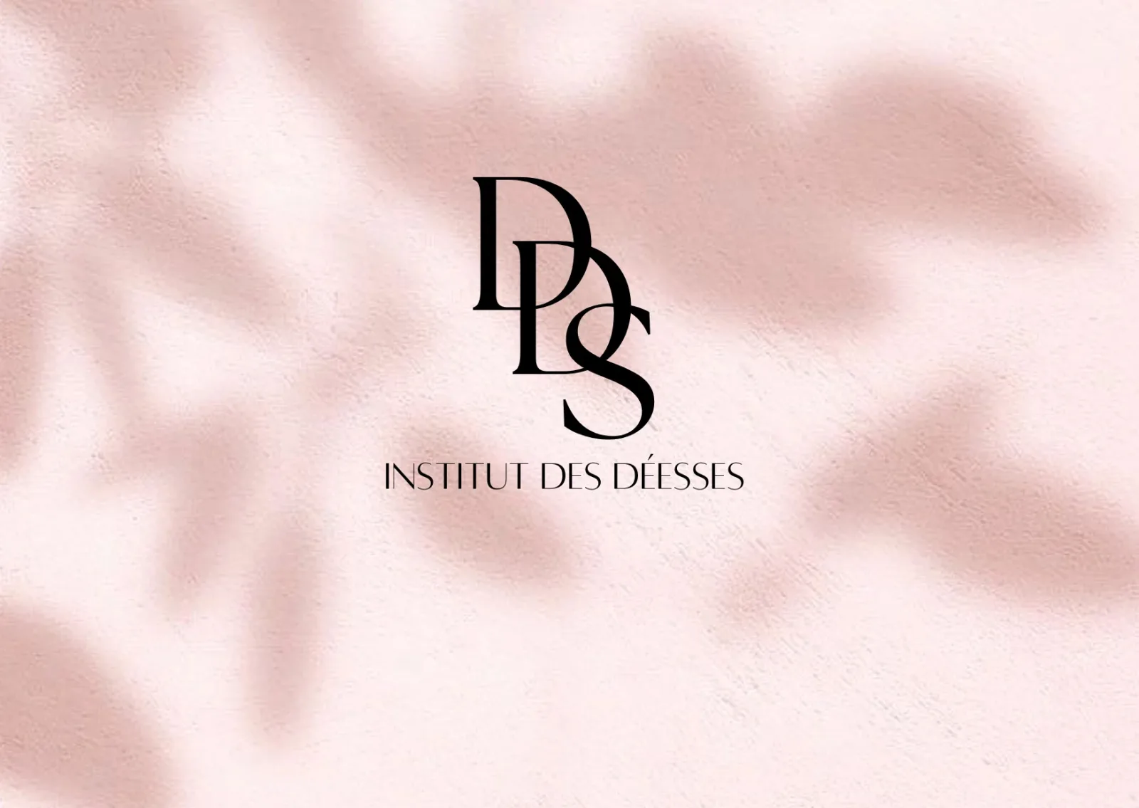 Institut DDS