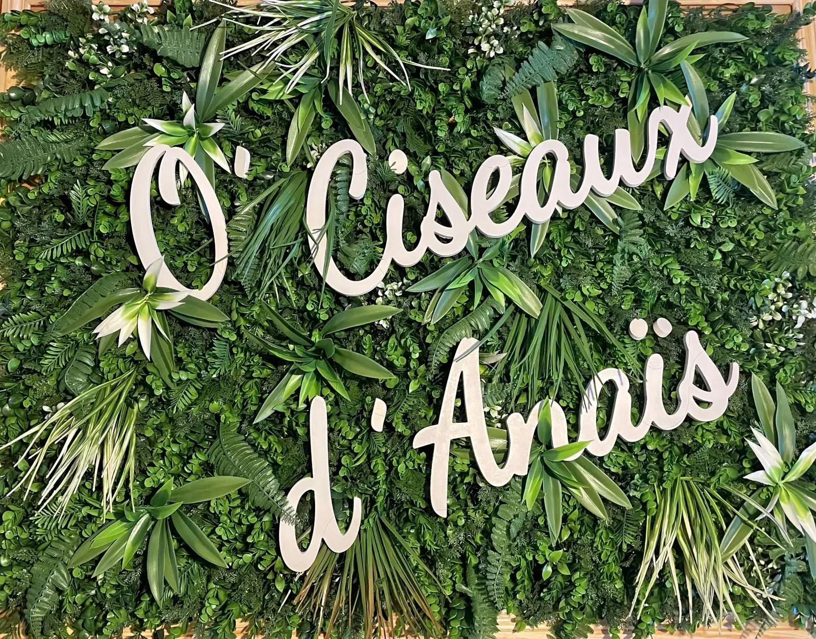 O’ciseaux d’anaïs