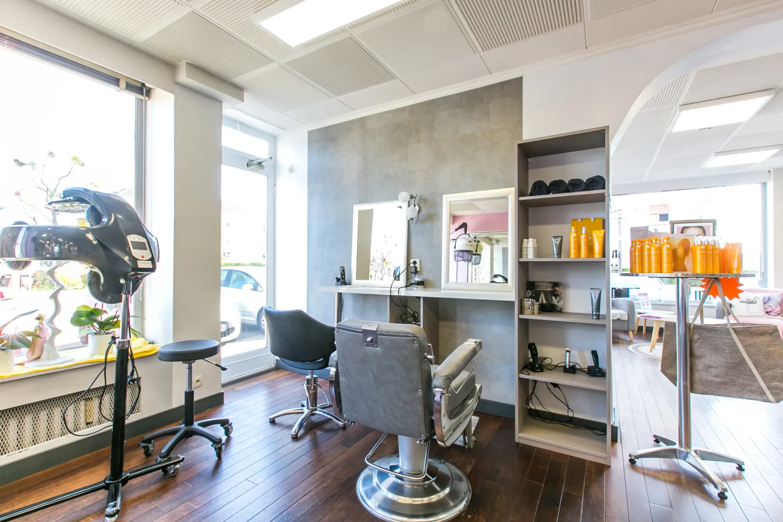 Oxalis Coiffure