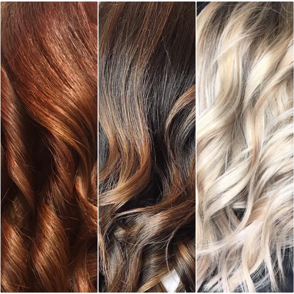 Création M