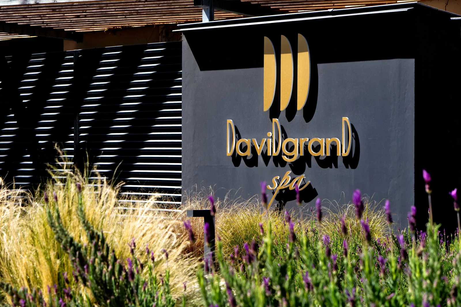 David Grand Spa - Institut de beauté Villerest - OneBooking