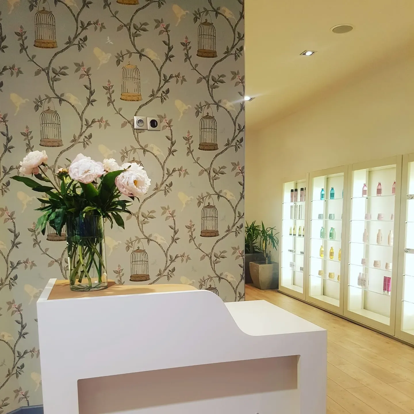 Le salon de Sonia - Coiffure Toulouse - Le salon de Sonia - Photo Galerie - OneBooking