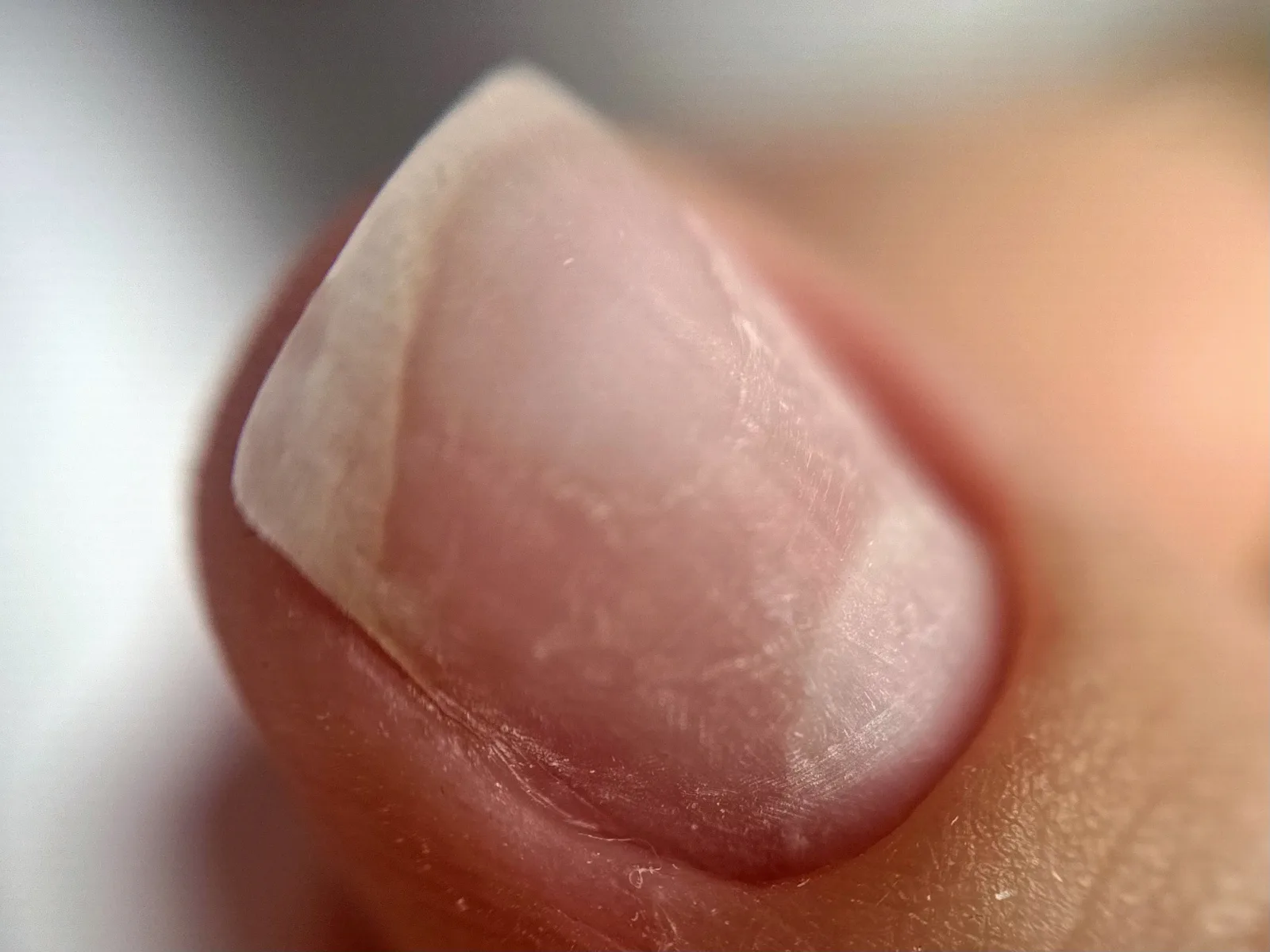 Mela Nails - Onglerie Billom - Mela Nails - Photo Galerie - OneBooking