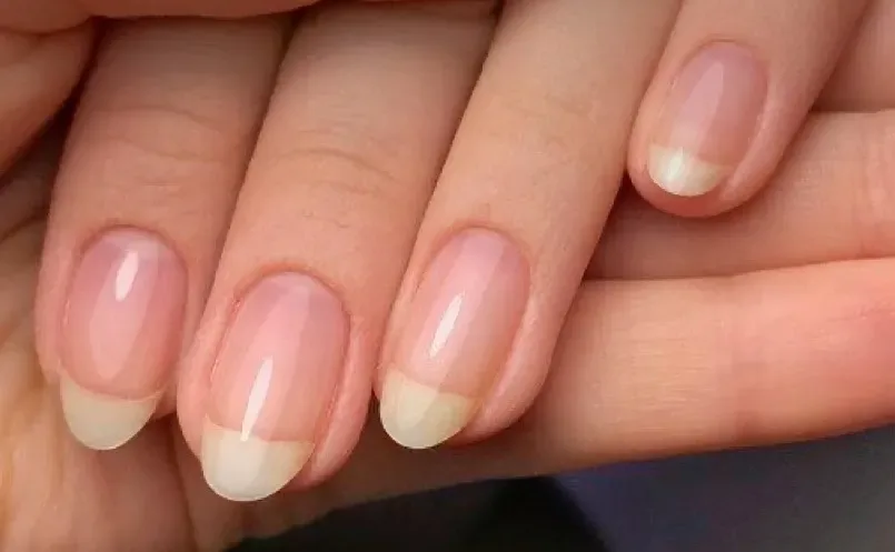 Shape My Nails - Onglerie Capbreton - Shape My Nails - Photo Galerie - OneBooking