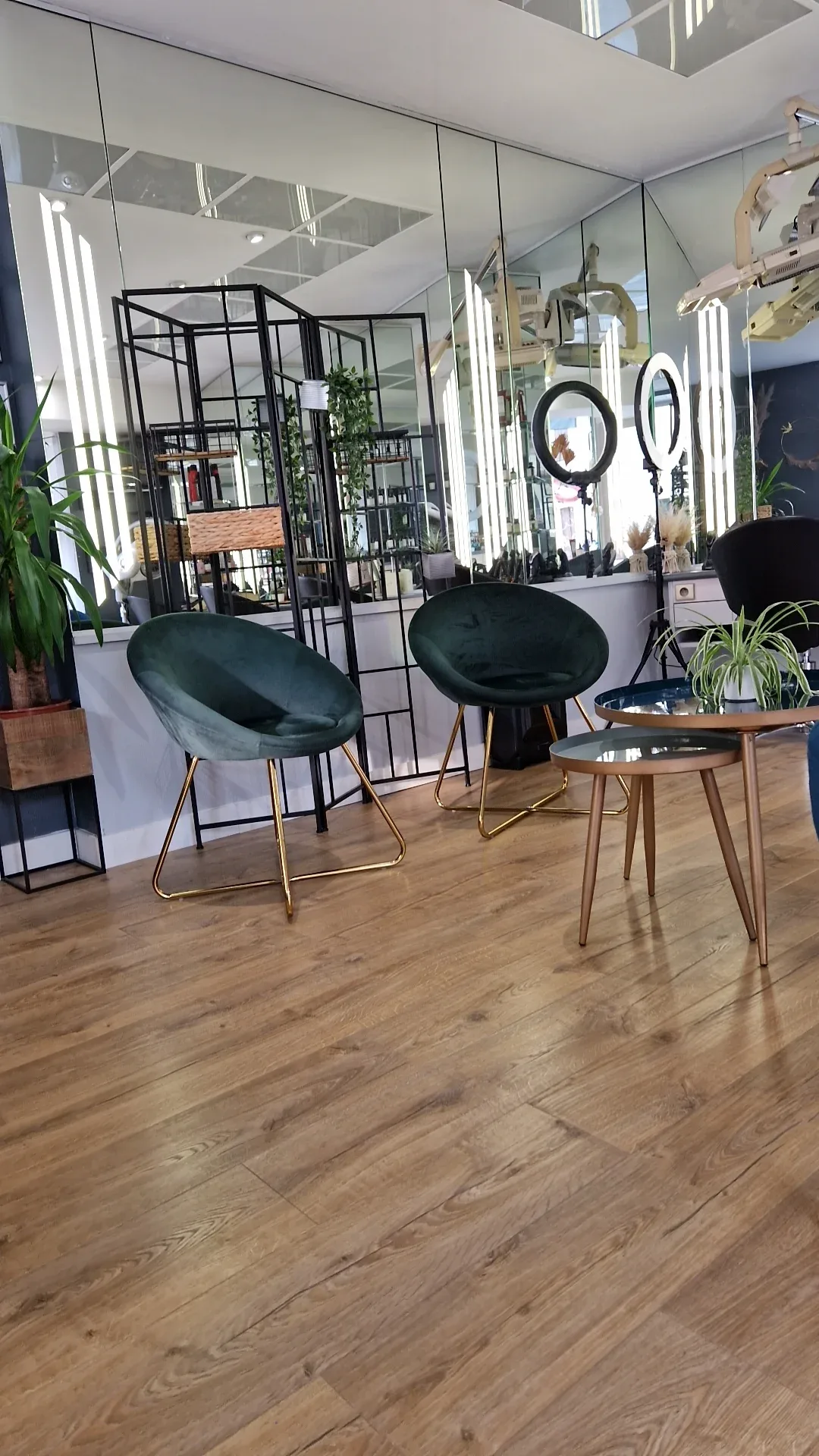 Ambiance Coiffure - Coiffure Gaillac - Ambiance Coiffure - Photo Galerie - OneBooking