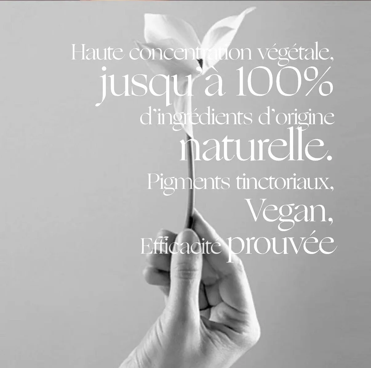 MAISON VANESSA - Coiffure Pignan - MAISON VANESSA - Photo Galerie - OneBooking