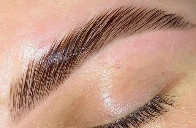 Elvira Lashes - Épilation Romans-sur-Isère - Elvira Lashes - Photo Galerie - OneBooking