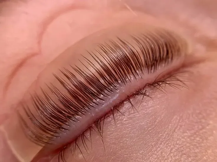 Elvira Lashes - Épilation Romans-sur-Isère - Elvira Lashes - Photo Galerie - OneBooking