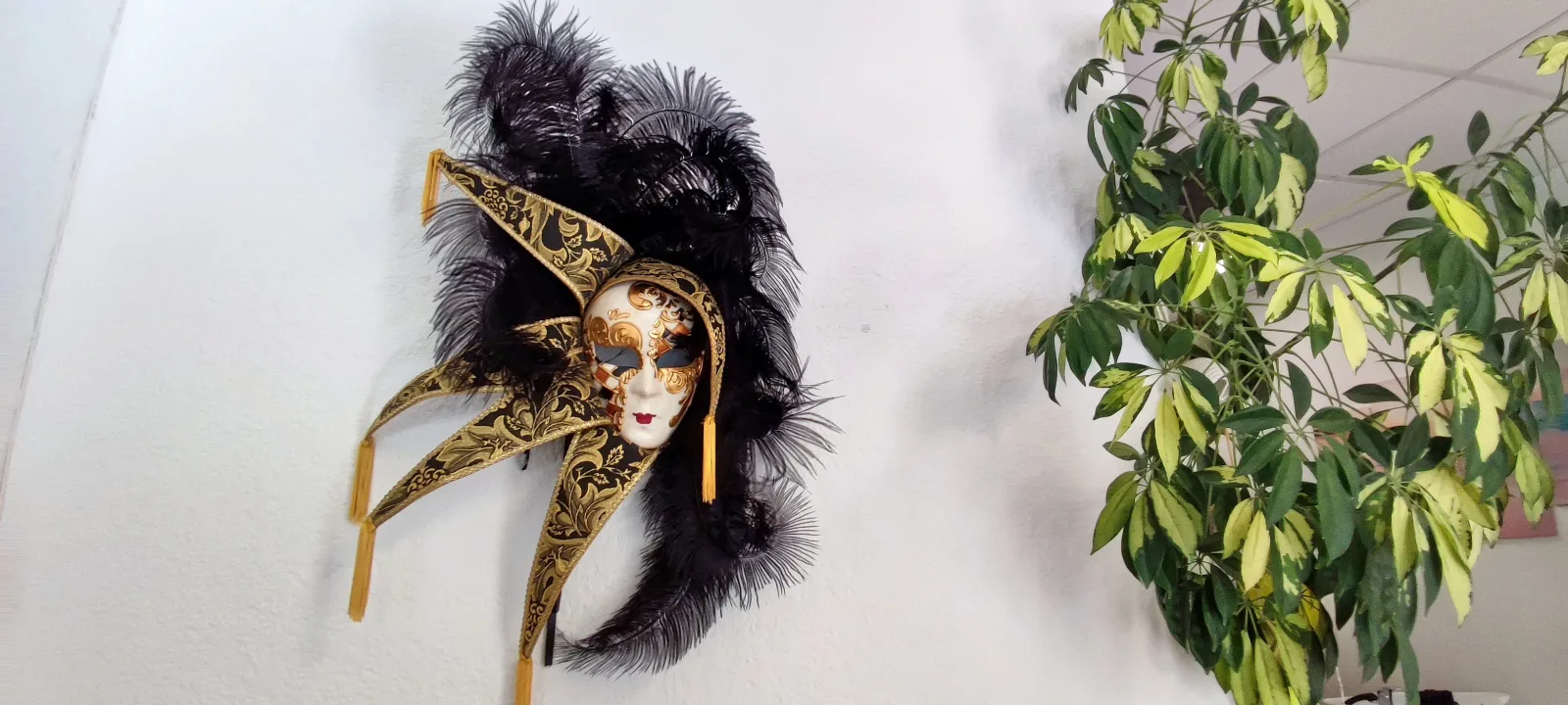 Salon Jeanna - Coiffure La Rochelle - Salon Jeanna - Photo Galerie - OneBooking