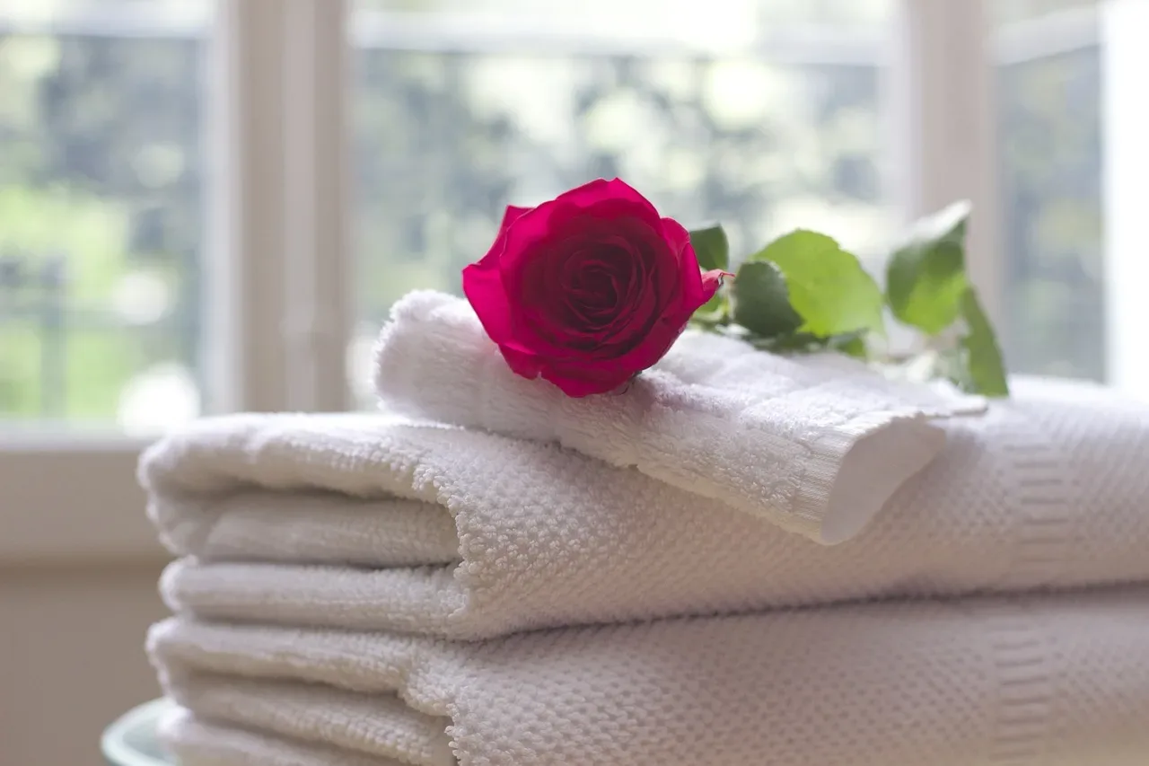 Symphony Zen Massage - Massage Gaillac - Symphony Zen Massage - Photo Galerie - OneBooking