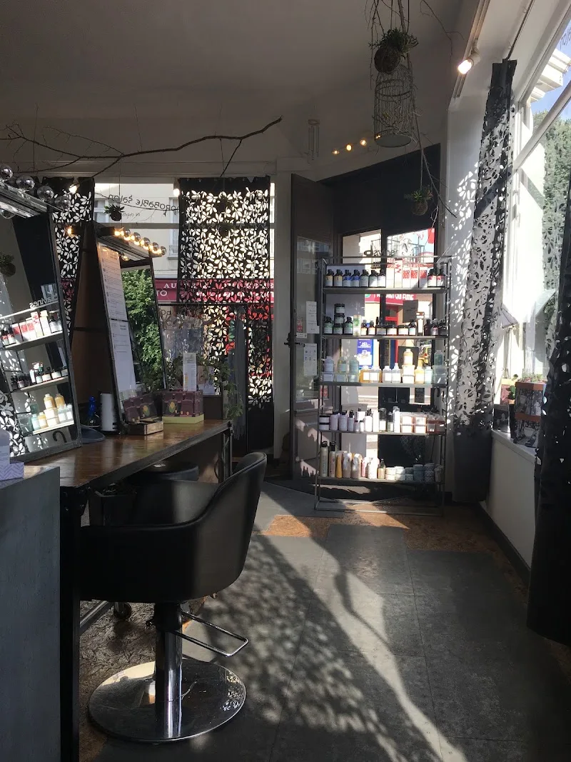 L Improbable Salon