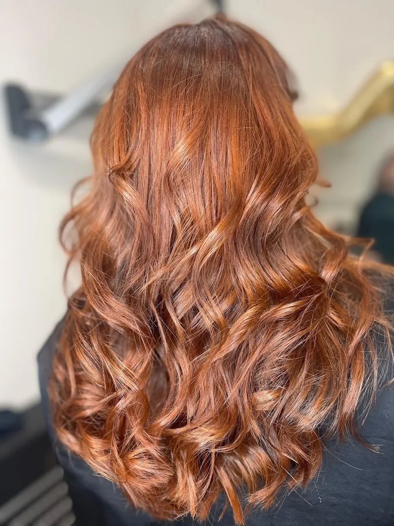 Lissbuzz