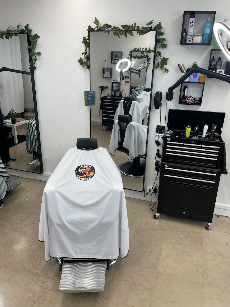 Alex Barber - Coiffeur Barbier - Barbier Lyon - OneBooking