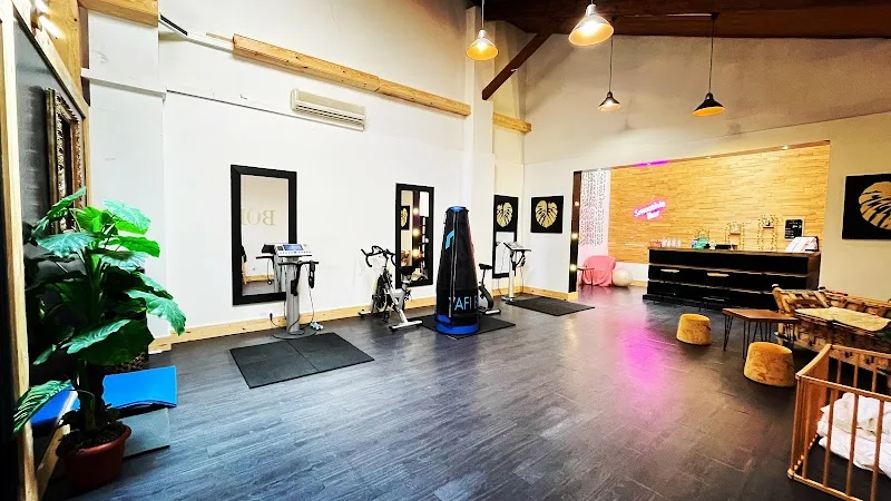 BodyGo
