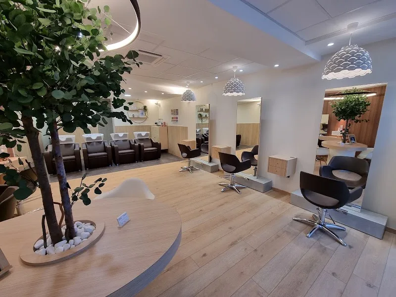 Yséal Salon & Coiffure (Auxerre Centre-ville)