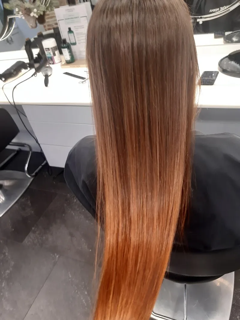 Salon de coiffure Didier Alexandre