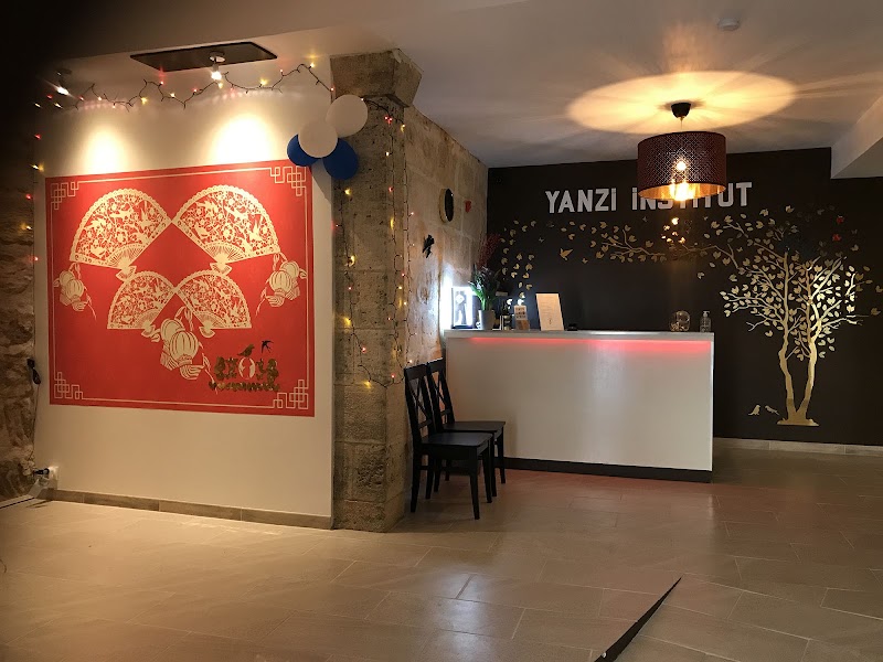 YANZI INSTITUT TUINA AN MO
