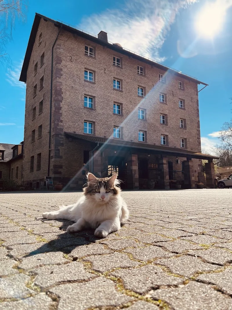 Hôtel Spa Le Moulin De La Wantzenau - Spa Strasbourg - Photo de couverture - OneBooking