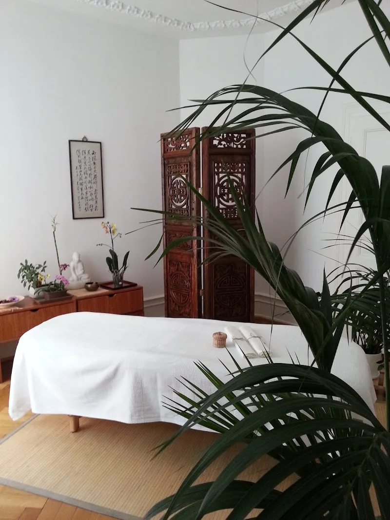 Concept Massage Wellness - Caroline Maurey