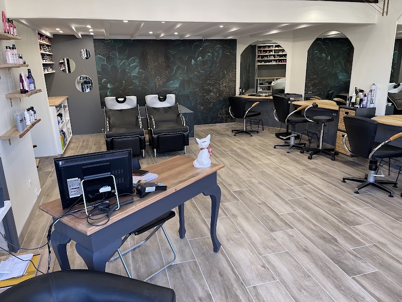 Le Salon De Vanessa