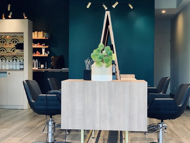 Le Coiffeur Montpellier Port Marianne