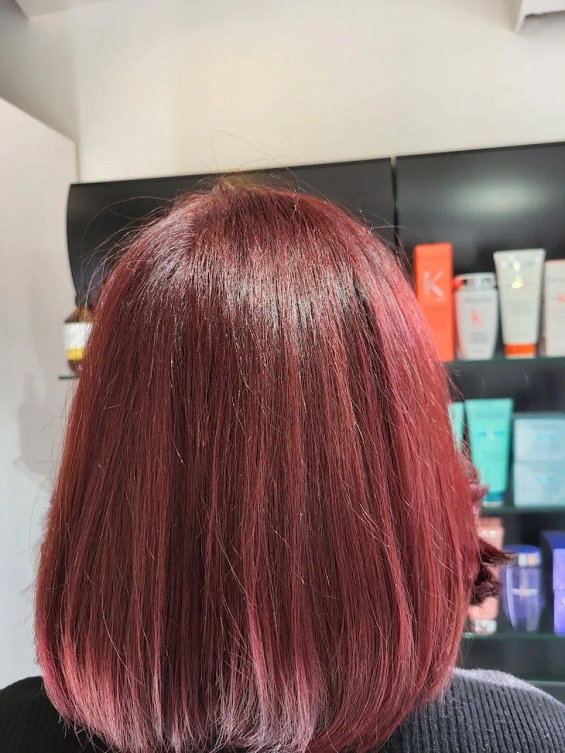 Pascal Coste coiffeur créateur