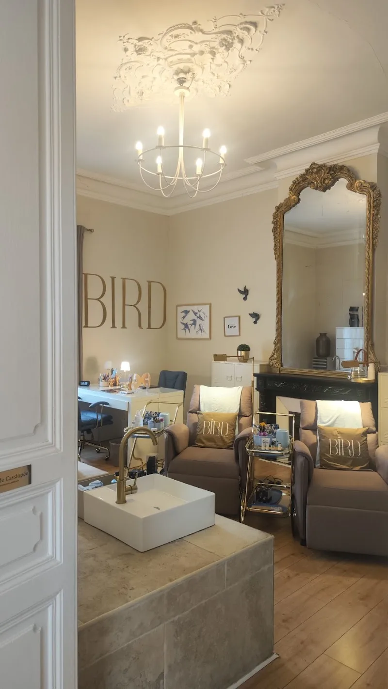 Bird Lash Academie - Sourcils & cils Béziers - Photo de couverture - OneBooking