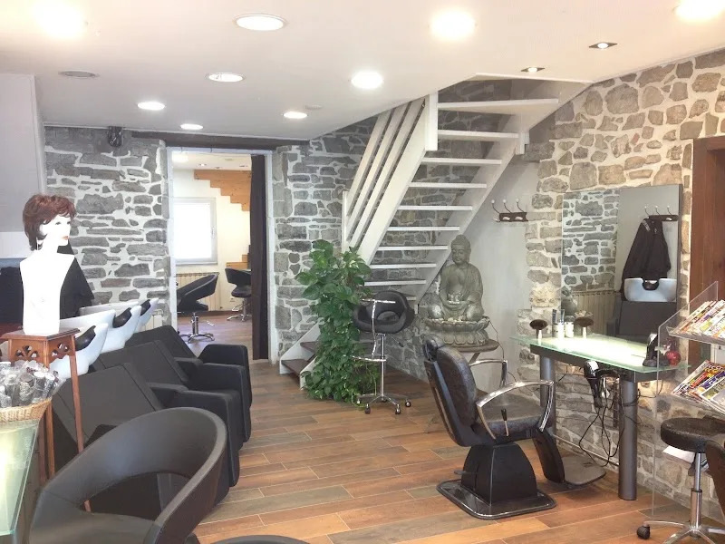 Multiplex Coiffure