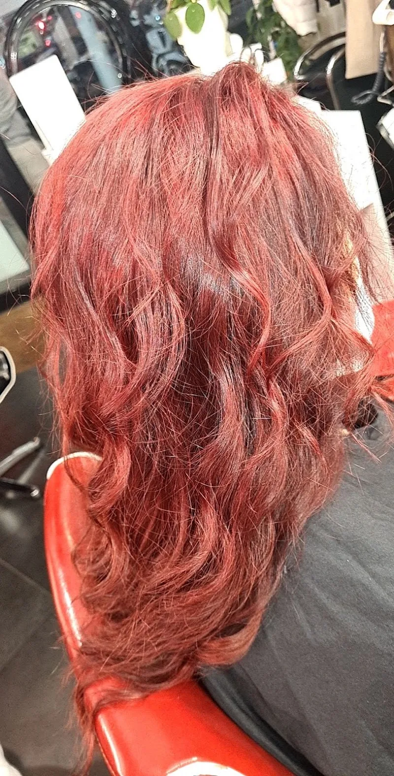Exempl'hair coiffure