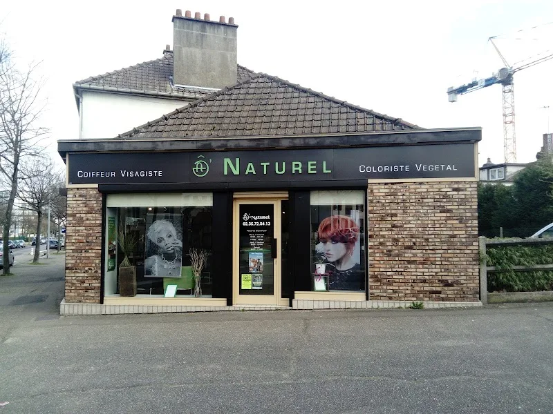 O Naturel Coloriste Végétale Spécialiste des chignons