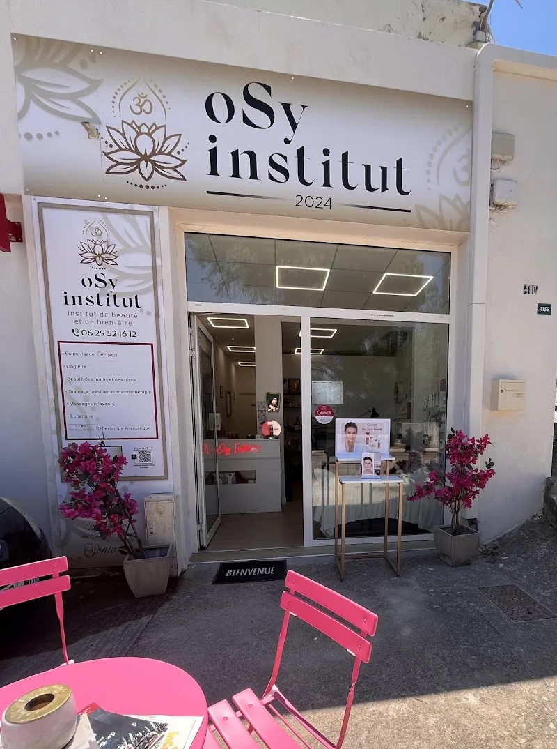 Osy Institut