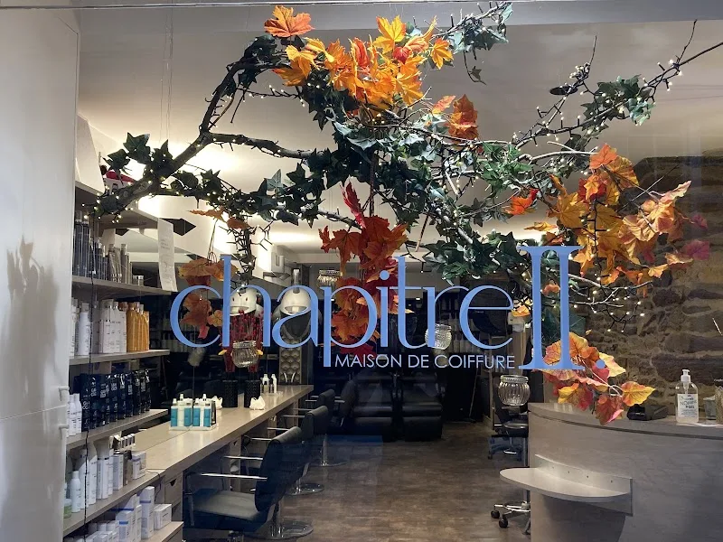 Salon coiffure CHAPITRE II