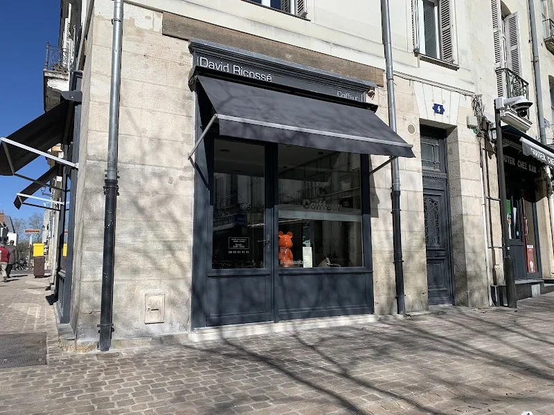 David Ricossé Coiffeur