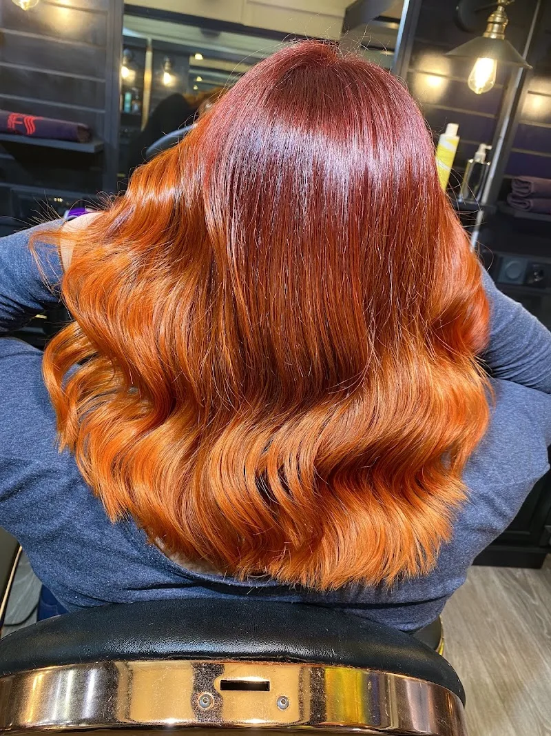 L’Artiste Coiffeur Coloriste