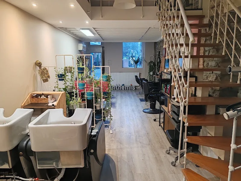 Anthémis coiffure