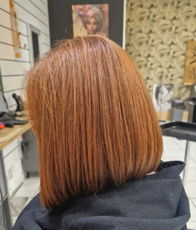 Salon Caméléon