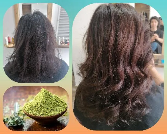 Miss Art Salon de Coiffure Végétal et Soins Thérapeutiques