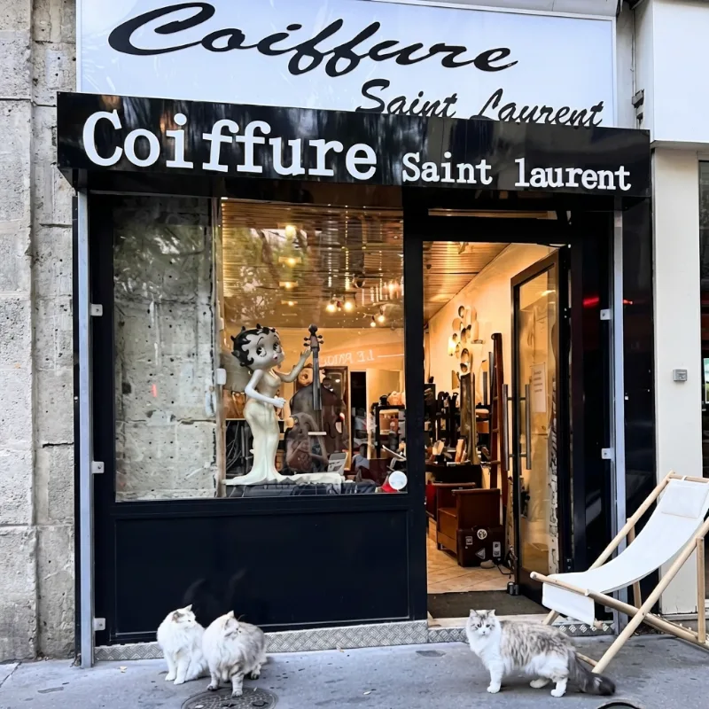 Coiffure St Laurent® - Paris I Salon de coiffure