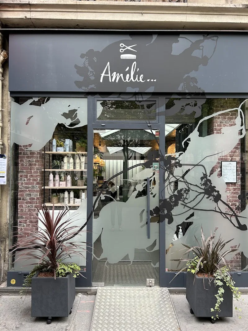 Amélie ... Coiffeur Paris 15