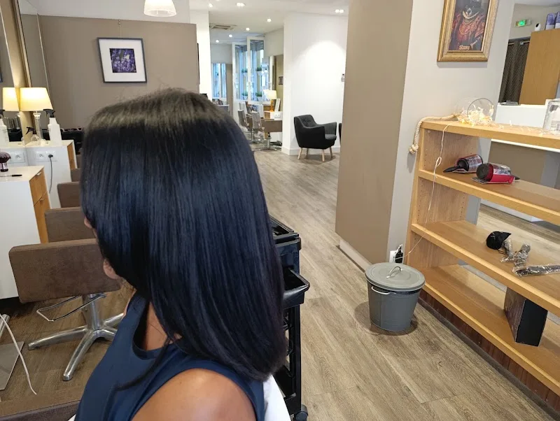 Dissemblance coiffure - Les Cheveux au Naturel