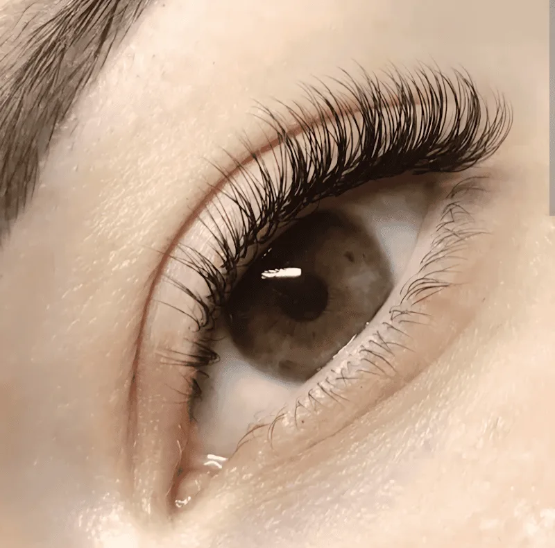 Deamorim_lashes