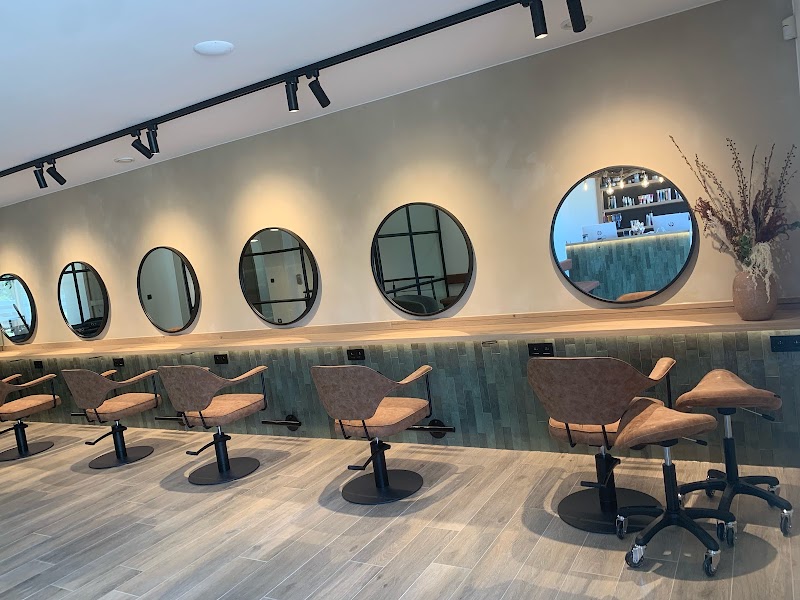 oasis de belleza