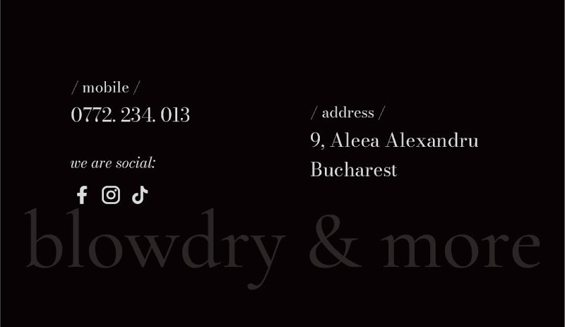 sno'b blowdry & more