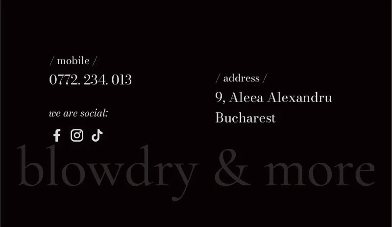 sno'b blowdry & more