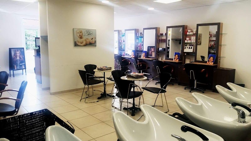 Diloy's le Boulou