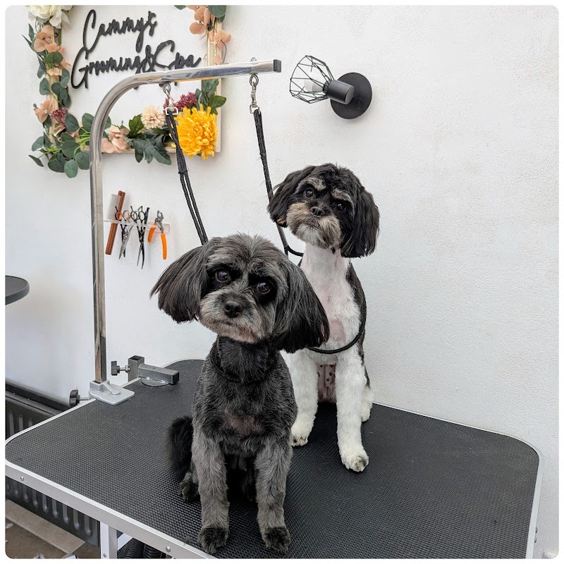 Cammy's Grooming & Spa