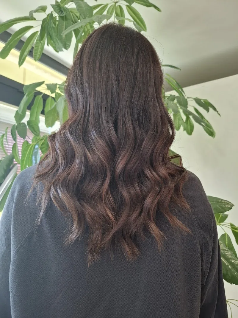 Evergreen - Coiffure Ferrara - Photo de couverture - OneBooking