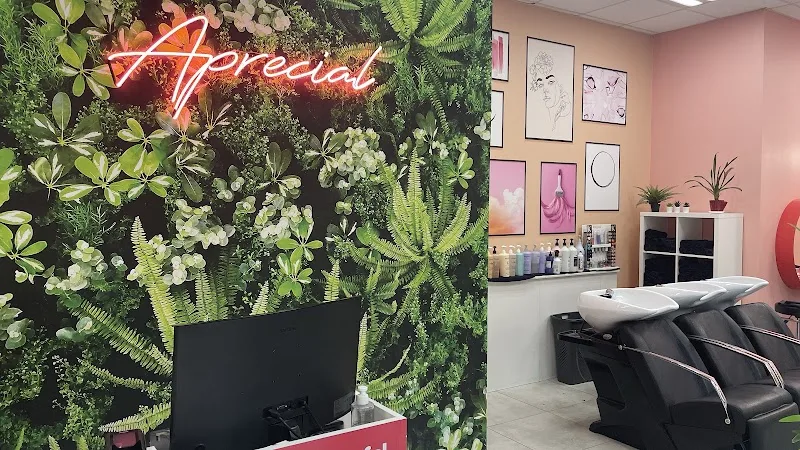 Salon Aprecial