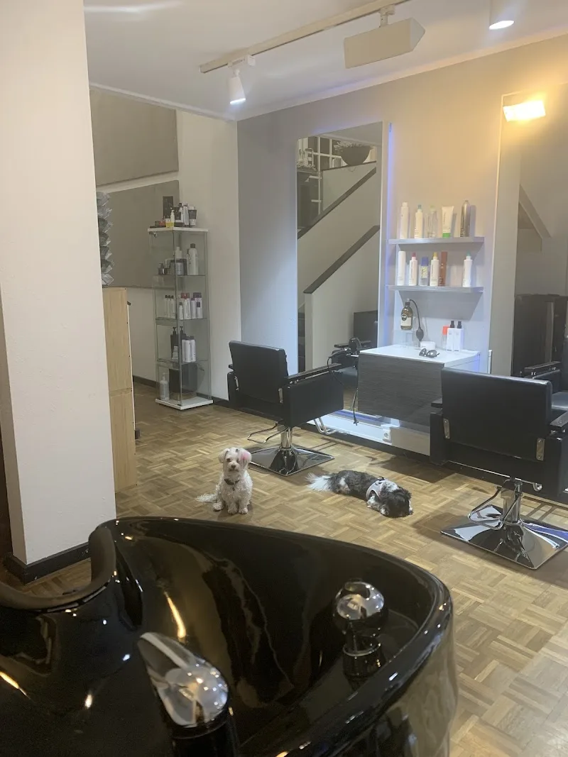 FACET/BEAUTY-FULL-HAIR